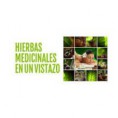 /album/fotogaleria/images-5-jpg/